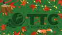 The Therapy Center Banner