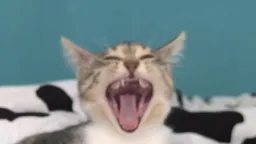 𝗧𝗵𝗲 𝗧𝗼𝘅𝗼𝗽𝗹𝗮𝘀𝗺𝗼𝘀𝗹𝘂𝘁𝘀 server banner