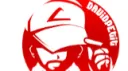 Team Petit banner