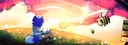 banner