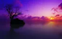 heey banner