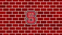 The Brickyard banner