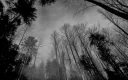 ᴅᴀʀᴋ 🥀 ɢᴀʀᴅᴇɴ (ARCHIVED) banner