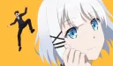 Siesta banner