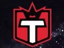 Tigz Community Server banner