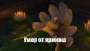 Родной Кринжач banner