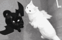 Goth banner