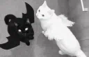 Goth server banner