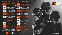 Cincinnati Bengals server banner