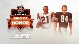 Cincinnati Bengals server banner