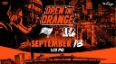 Cincinnati Bengals banner