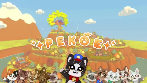 Kitten Cup Studio banner
