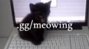 meow  ≽^- ˕ -^≼  •  emojis  .gg/meowing Banner