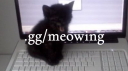 meow  ≽^- ˕ -^≼  •  emojis  .gg/meowing server banner