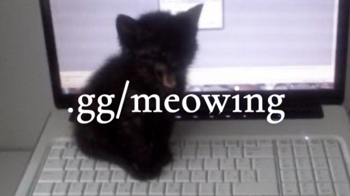 meow ≽^- ˕ -^≼ • emojis .gg/meowing Discord server banner
