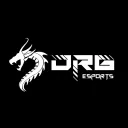 DRG Esports banner