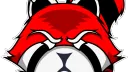 LTU Gaming Society banner