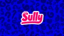 Sully Games banner