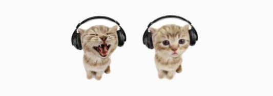 MiLK Banner
