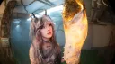 mothica's cocoon banner