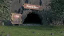 Guinea pig cult 🐹 banner