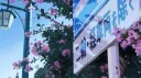 Nari | Anime ・ Gaming banner