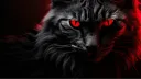 Arbre à chat - Chaton Sauvage banner
