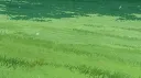 delicate banner