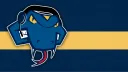 St. Mary's Esports banner