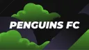 Penguins FC banner