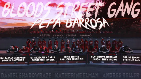 banner