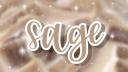 智者  sage ⋆˚. Banner