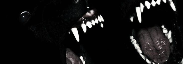 ben Banner