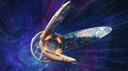 Stellaris Nomadic Discord Banner