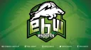 ebw.esports e.V. banner