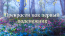 ⛄┊Т&Д – Игры и общение Discord server banner