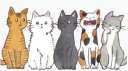 meow. banner