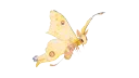 CaveCord Discord server banner
