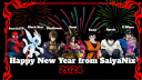 The Home of Dragon Ball | SaiyaNix™ server banner