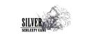 SILVER ˎˊ˗ Banner