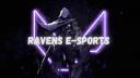 RAVENS E-Sports Banner