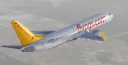 Pegasus Airlines banner
