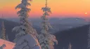 Linnea's community banner
