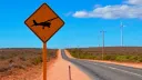 Aussie Flying banner