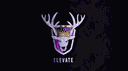 Elevate banner