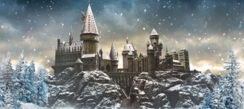 The Hogwarts Quidditch League banner
