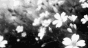 Ramune banner