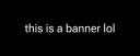 banner