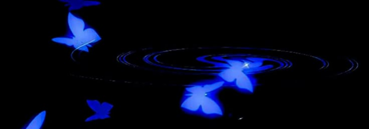 Amiix ♡ Banner