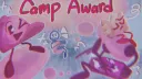 Camp Award banner